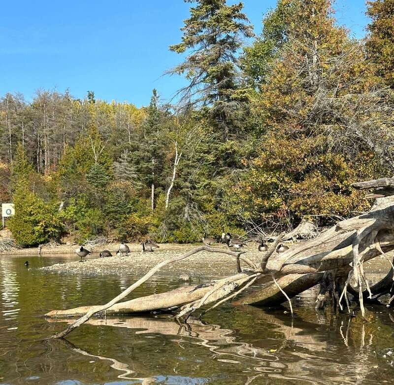 food-tour-on-island-lake-ontario-rv-motorhome-tour