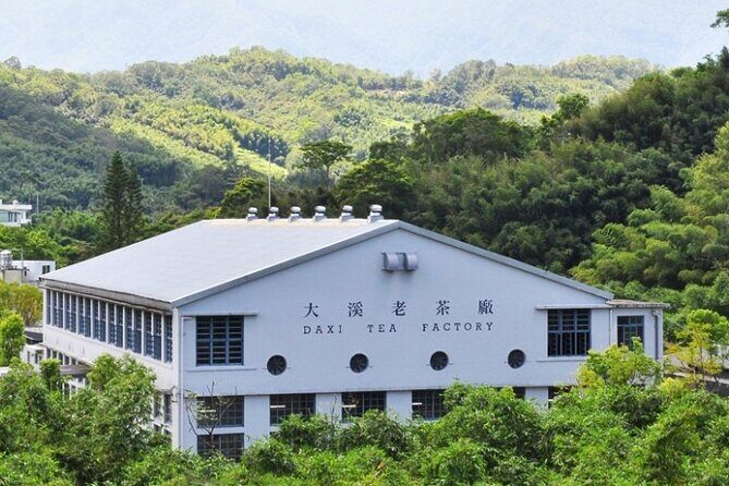 Foot Therapy & Dadaocheng & Smart Hospital & Daxi 2-Day Tour - Final Thoughts