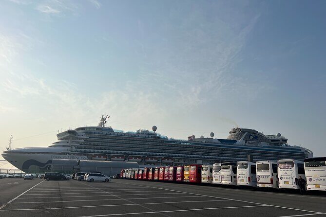For Busan Cruise Guest highlight Day tour - Key Points