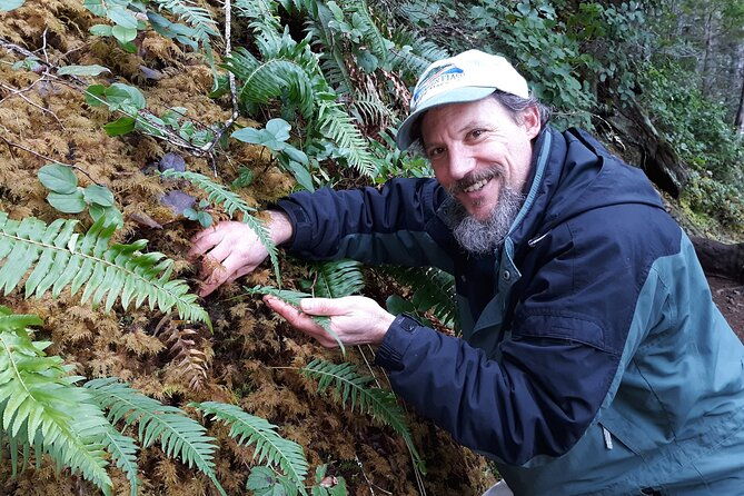 foraging-tour-of-edible-plants-and-mushrooms-in-brinnon