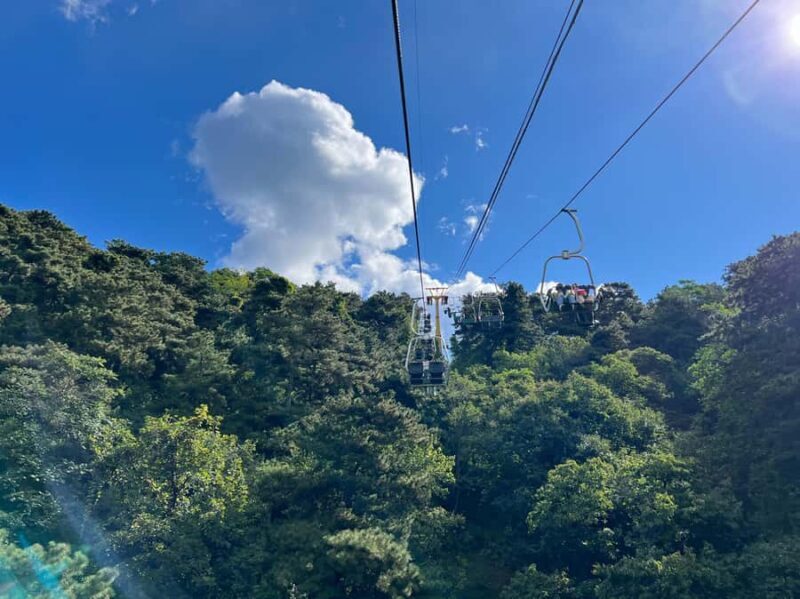 Forbidden City & Mutianyu Great Wall Bus / Private Tours - The Value: Price, Duration, and Inclusivity