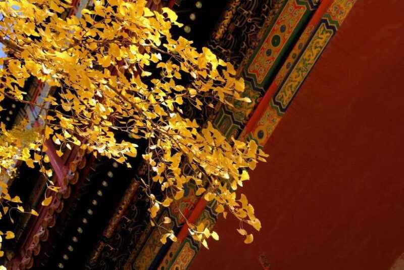 forbidden-city-of-beijing-tickets-booking-and-other-option