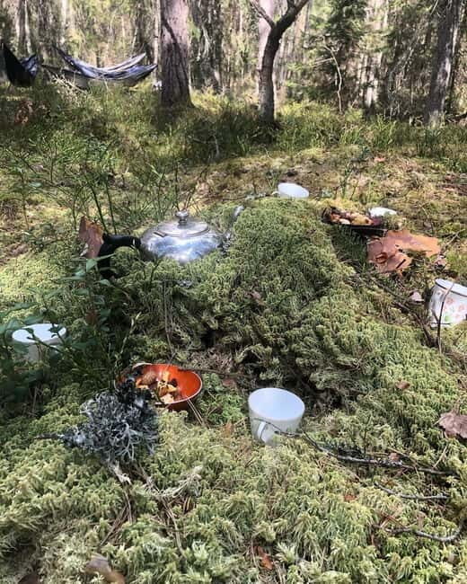Forest Bathing in Stockholm nature with certified guide - Exploring Forest Bathing in Stockholm with a Certified Guide