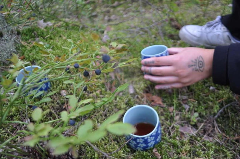 Forest Bathing in Stockholm nature with certified guide - The Itinerary Breakdown