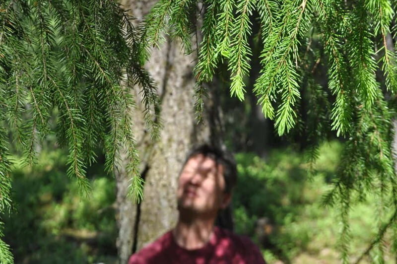 Forest Bathing in Stockholm nature with certified guide - Who Would Love This Experience?
