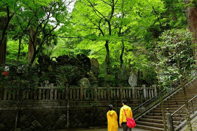 forest-bathing-in-temple-and-enjoy-onsen-with-healing-power