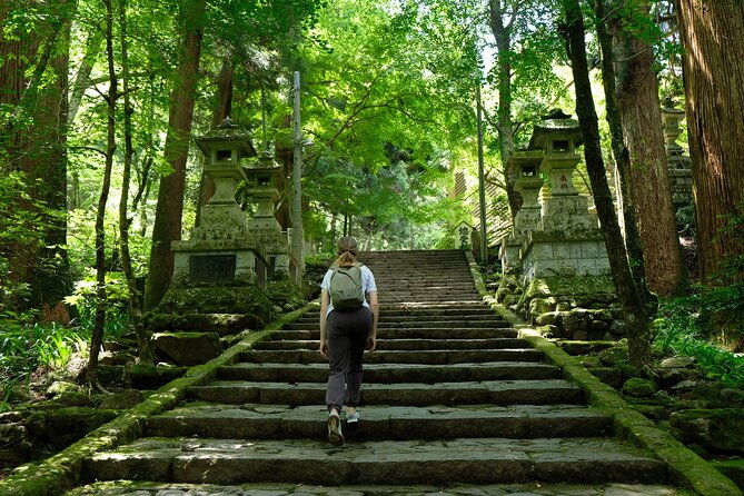 forest-bathing-in-temple-and-enjoy-onsen-with-healing-power