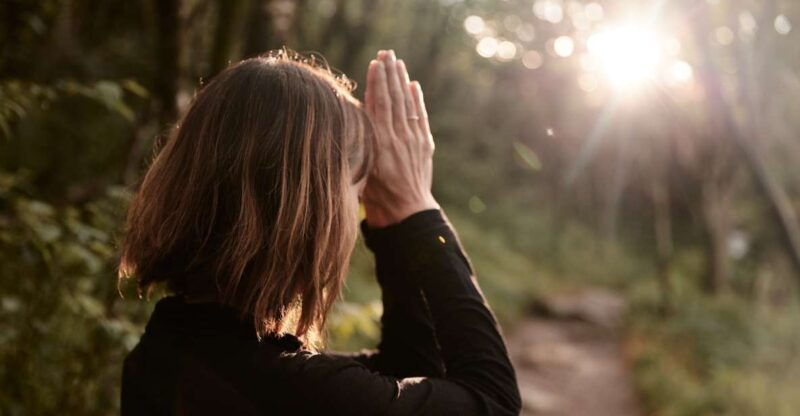 forest-bathing-nature-therapy-mini-retreat