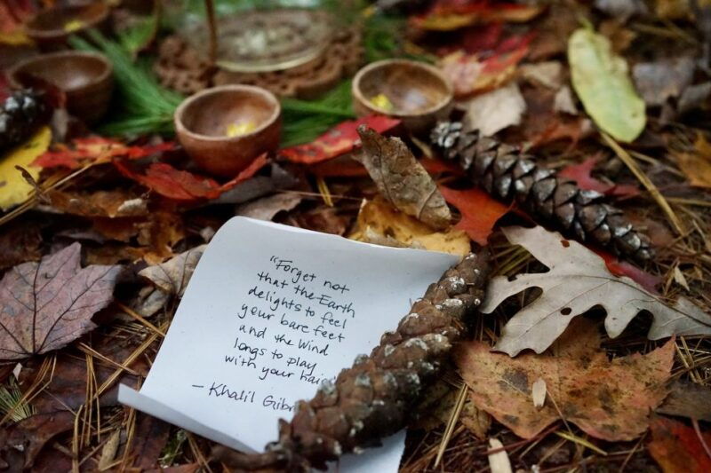 forest-bathing-nature-therapy-mini-retreat