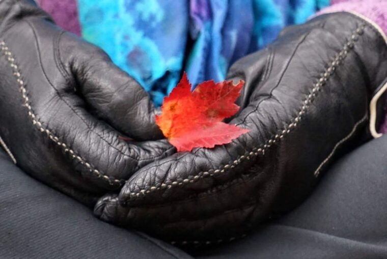 forest-bathing-nature-therapy-mini-retreat