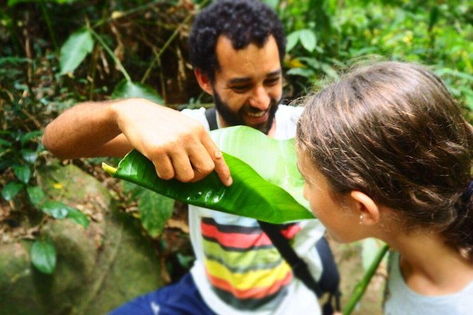 forest-forager-wild-food-walk