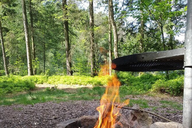 forest-gourmet-at-the-countryside-in-dalsland-with-lunch