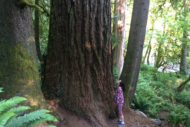 forest-hike-to-gorgeous-twin-and-snoqualmie-falls