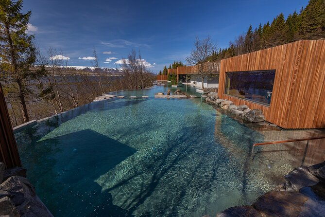 forest-lagoon-and-northern-lights-guided-night-tour
