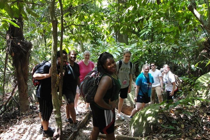 Forest Research Institute Malaysia (FRIM) Nature Trekking Tour - Discovering FRIM: An Authentic Nature Experience Near Kuala Lumpur
