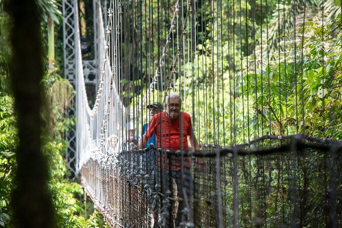 forest-rocks-hanging-bridges-volcano-hike