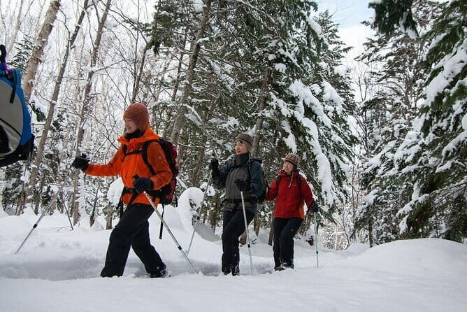 Forest Snowshoeing in White Birch and Blue River Course - Final Thoughts