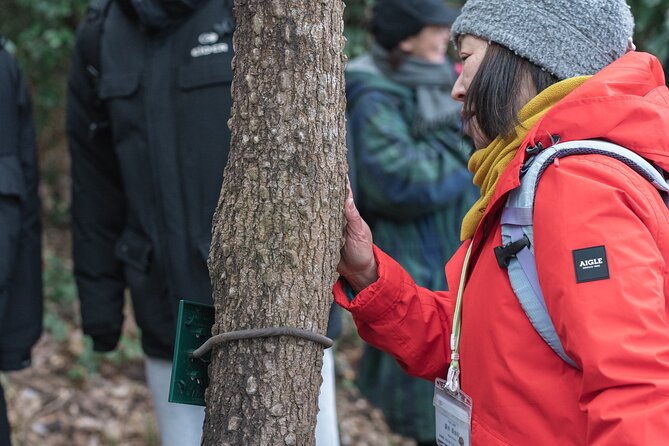forest-therapy-in-sasaguri-town