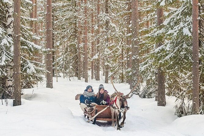 forest-trail-reindeer-safari