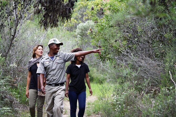 Forest Walk with Picnic and Wildife Tour - An In-Depth Look at the Forest Walk Experience