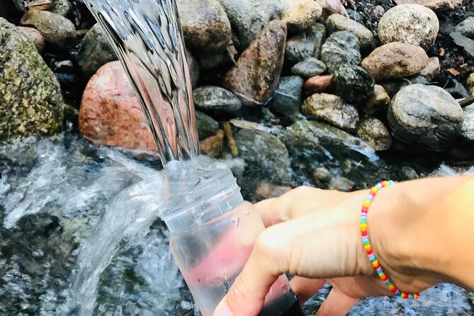 forestbathing-and-natural-spring-water-in-stockholm-nature-2