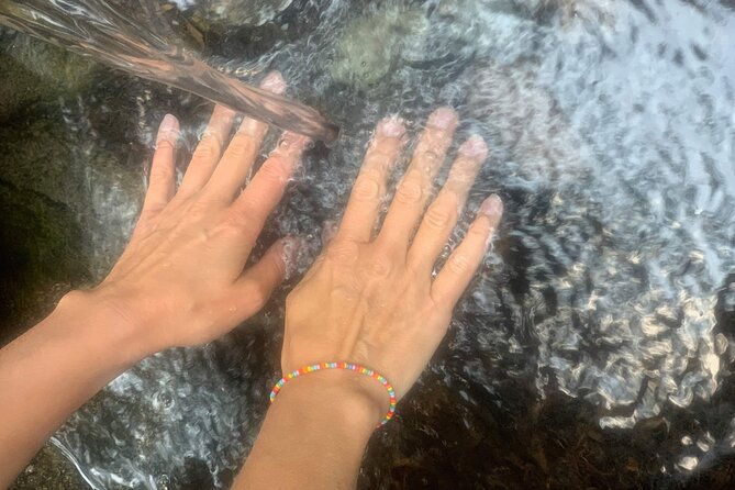 forestbathing-and-natural-spring-water-in-stockholm-nature