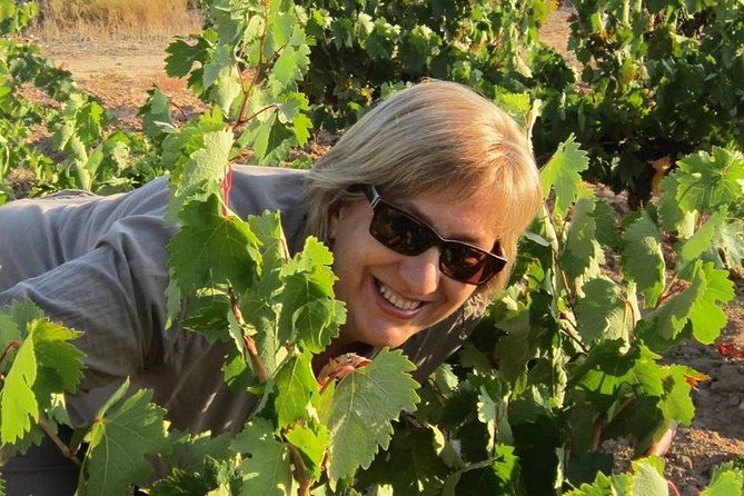 forget-about-driving-and-enjoy-the-ribera-del-duero
