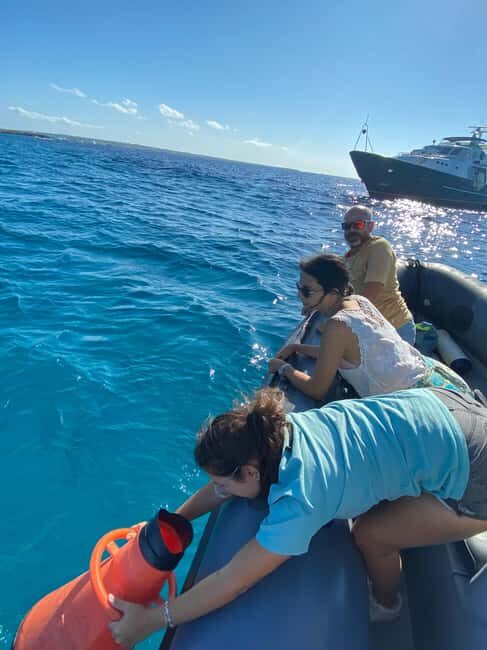 Formentera: 2-hour snorkel with marine biologist by boat - Key Points