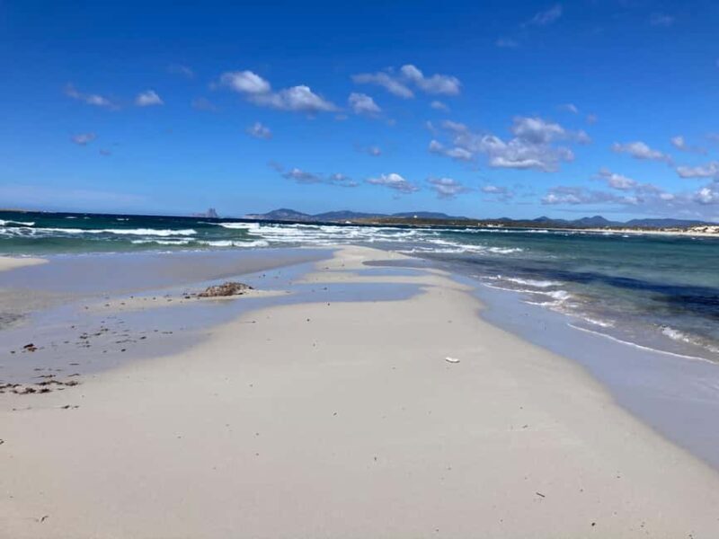 Formentera: 2-hour snorkel with marine biologist by boat - The Experience in Detail