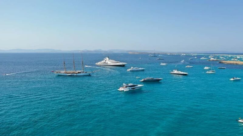 Formentera: 2-hour snorkel with marine biologist by boat - Final Thoughts