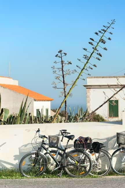 Formentera: discover our fast ferry + bike package - A Practical Overview of the Experience