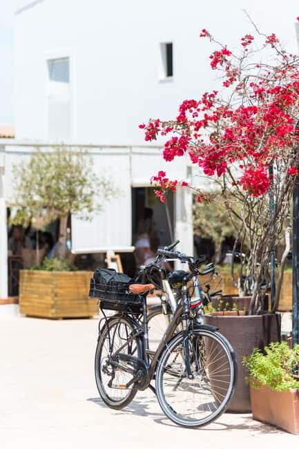 Formentera: discover our fast ferry + bike package - Detailed Breakdown of the Day