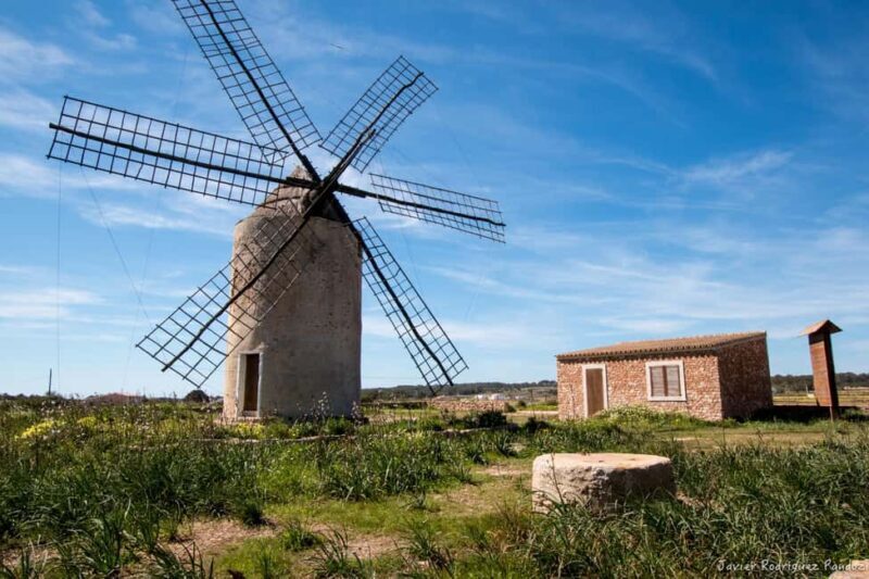 Formentera: discover our fast ferry + electric bike package. - Pricing and Value