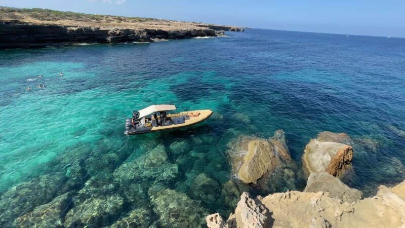 Formentera Natural Park: Snorkeling Experience - Key Points