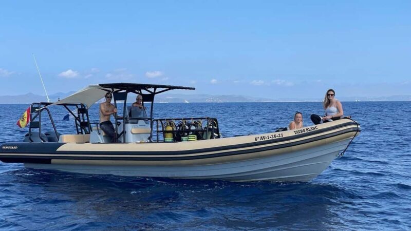 Formentera Natural Park: Snorkeling Experience - Discovering Formenteras Underwater World