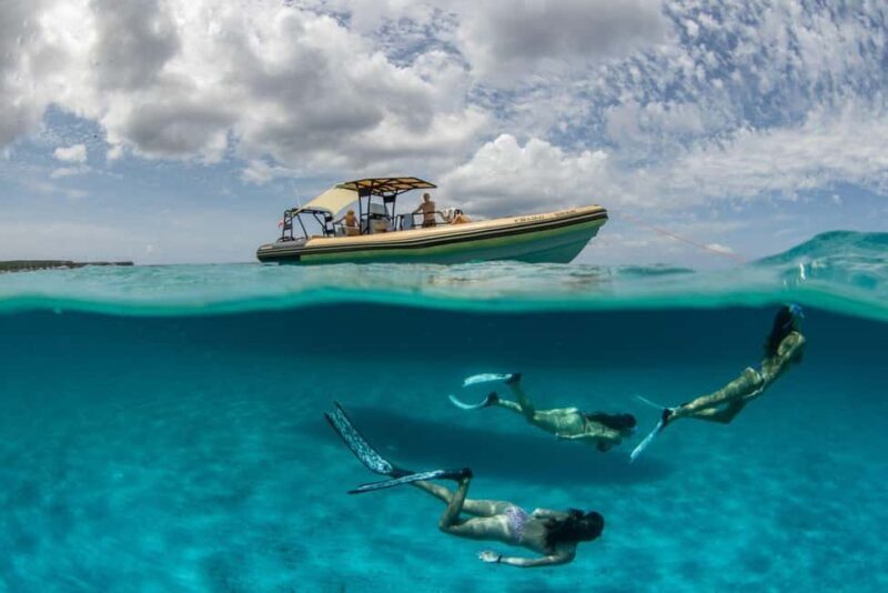 Formentera Natural Park: Snorkeling Experience - The Marine Ecosystem: Why It Matters