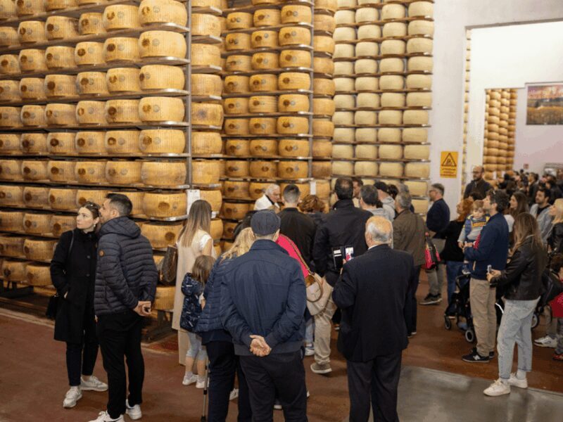 Formigine: Parmesan Factory Tasting and Tour near Modena - The Farm Experience and Authentic Atmosphere