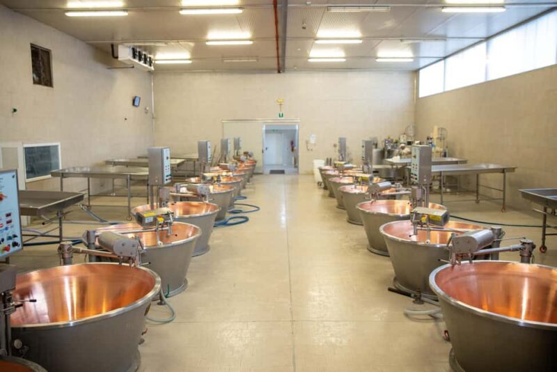 Formigine: Parmigiano tour with full tasting - Key Points