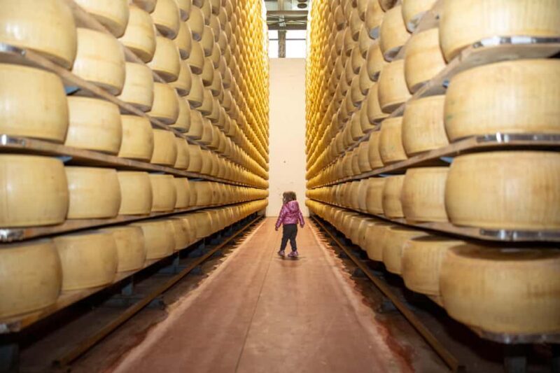 Formigine: Parmigiano tour with full tasting - What to Expect from the Parmigiano Reggiano Tour