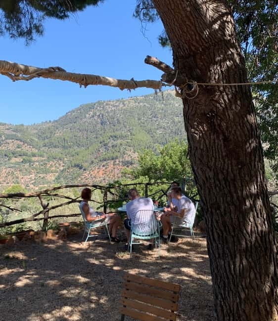 Fornalutx - hiking to the olive farm & oil tasting - A Beautiful Introduction to Fornalutx and Its Surroundings