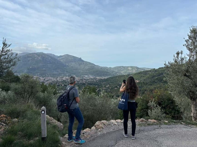 Fornalutx - hiking to the olive farm & oil tasting - Exploring the Olive Trees and the Family-Run Farm