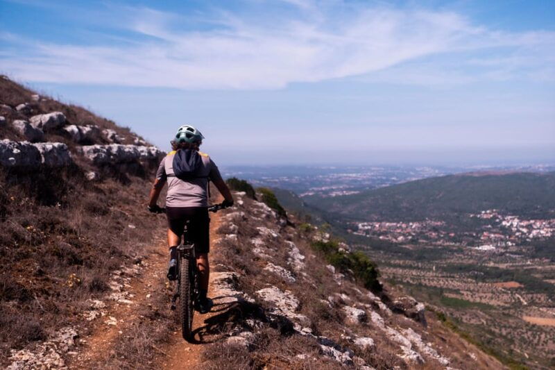 fornea-e-bike-and-olive-oil-tour