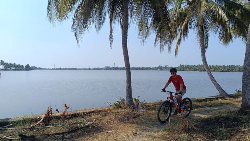 Fort Kochi Beach and Backwater Cycling Tour (Half Day) - Key Points