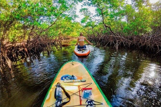 fort-lauderdale-bonnet-house-ground-and-guided-paddle-board-kayak