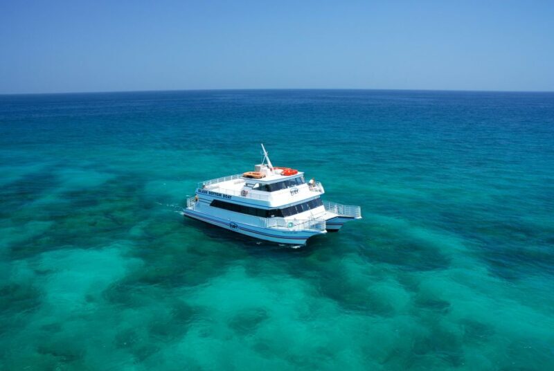 Fort Lauderdale: Key West Day Trip with Optional Activities - How the Day Unfolds