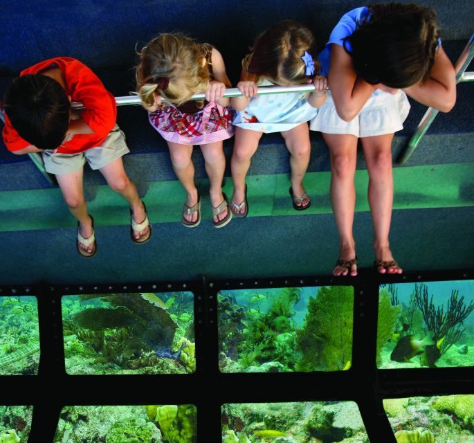 Fort Lauderdale: Key West Day Trip with Optional Activities - The Sum Up