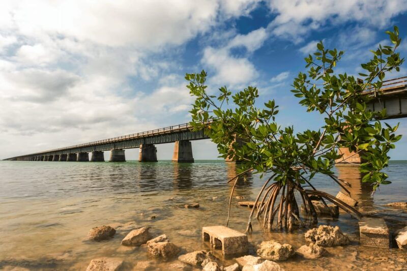 fort-lauderdale-to-key-west-day-trip