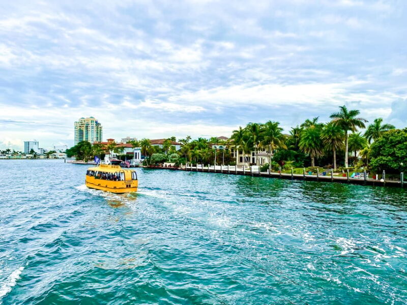 Fort Lauderdale: Water Taxi All-Day Pass - Authentic Experiences and Practical Tips