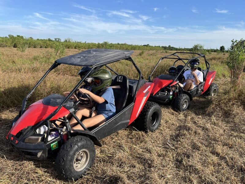 Fort Meade: Bamboo Dune Buggy Tour - Key Points