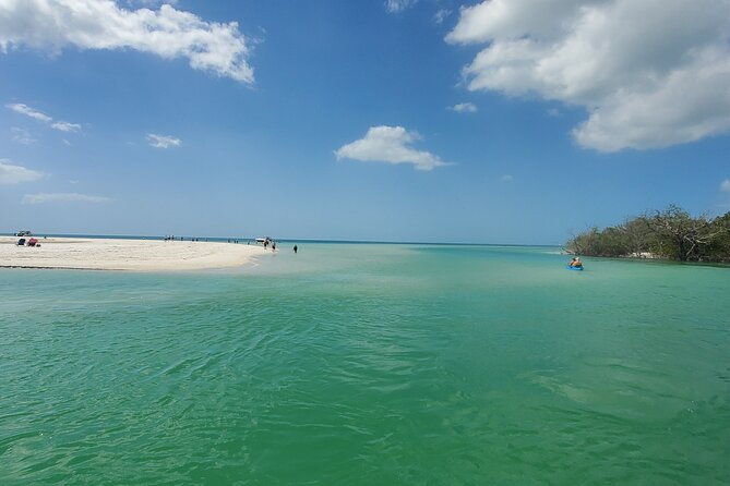 fort-myers-beach-sightseeing-with-shark-teeth-and-shelling-tour